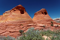 These rocks seem look at you while going to the Eastern side of Coyote Buttes North