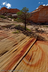 Unbelievable rocks color gradations in the complete silence of Coyote Buttes